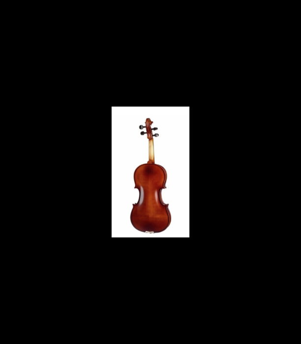 Vioară Stentor SR1542 Violin Graduate 4/4 - Stentor [2]