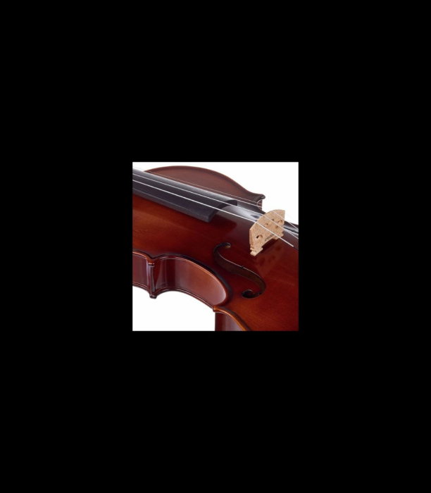 Vioară Stentor SR1542 Violin Graduate 4/4 - Stentor [7]