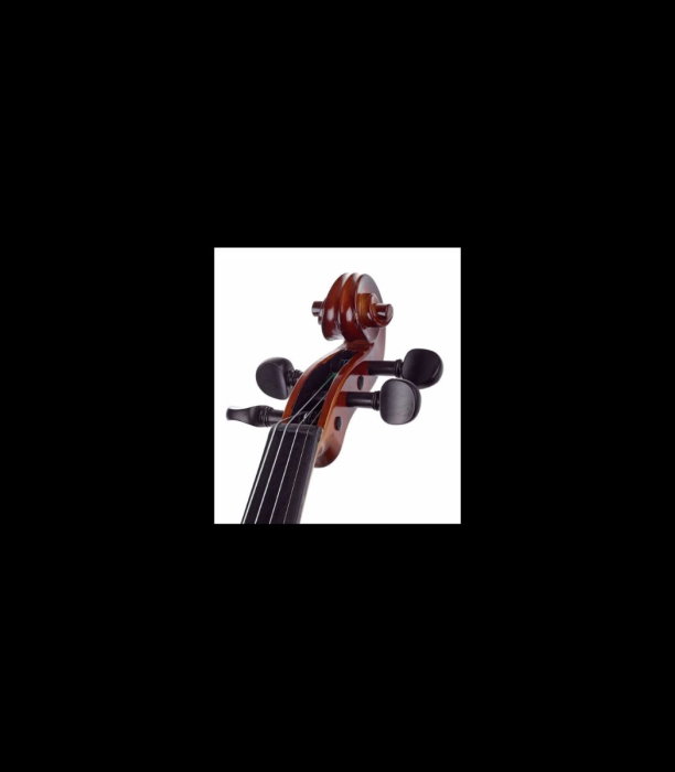 Vioară Stentor SR1542 Violin Graduate 4/4 - Stentor [9]