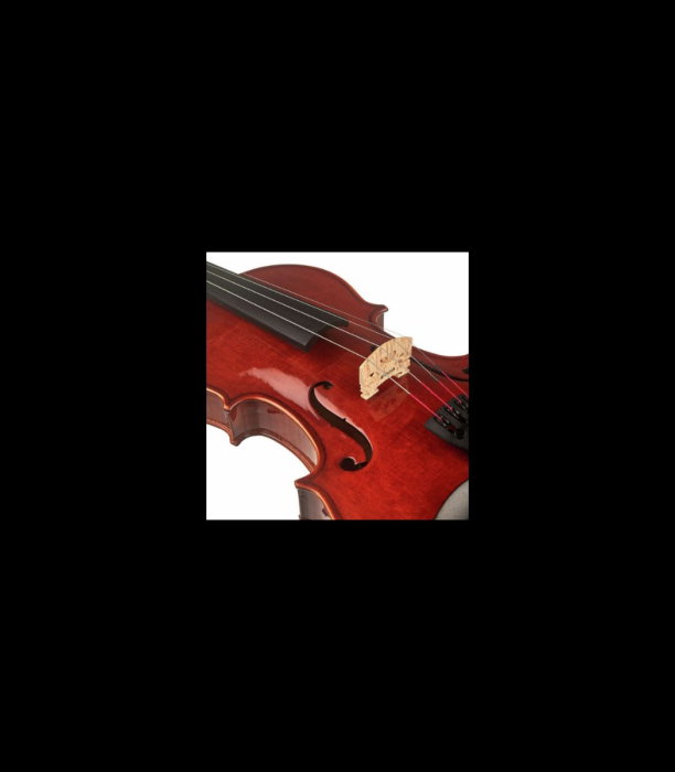Vioară Stentor SR1550 Conservatoire 3/4 - Stentor [6]