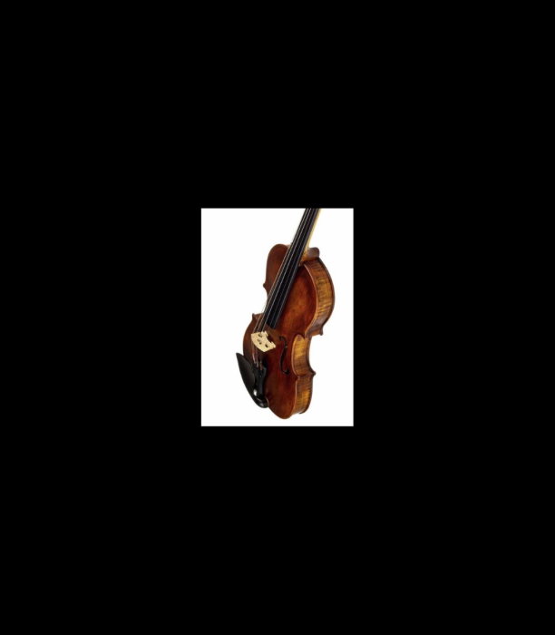 Vioară Stentor SR1864 Verona Violin 4/4 - Stentor [4]