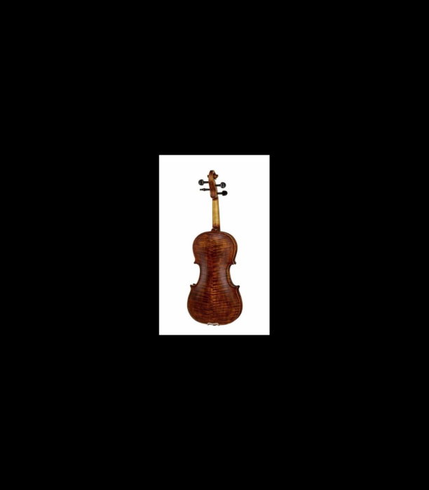 Vioară Stentor SR1864 Verona Violin 4/4 - Stentor [2]