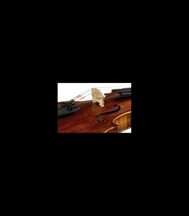 Vioară Stentor SR1864 Verona Violin 4/4 - Stentor [6]