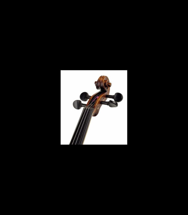 Vioară Stentor SR1864 Verona Violin 4/4 - Stentor [8]