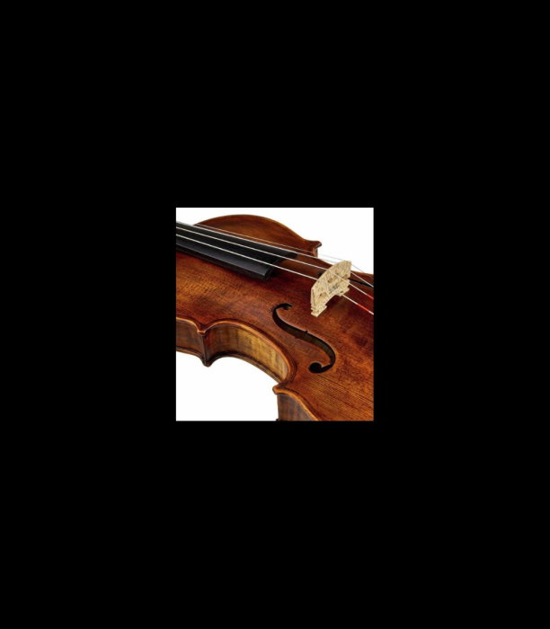 Vioară Stentor SR1864 Verona Violin 4/4 - Stentor [7]