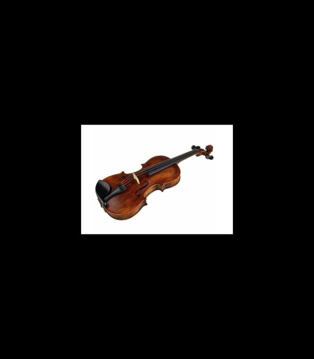 Vioară Stentor SR1864 Verona Violin 4/4 - Stentor [3]