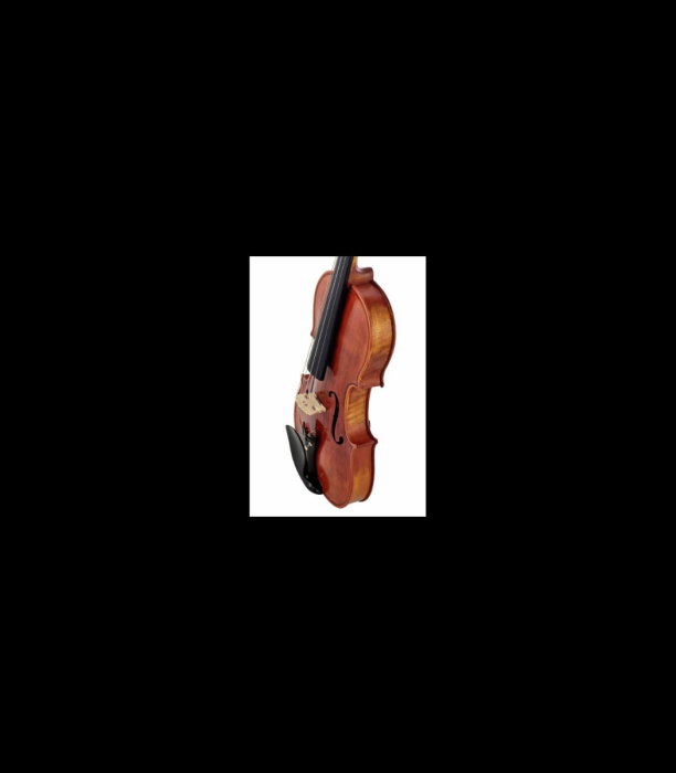 Vioară Stentor SR1865 Violin Messina 4/4 - Stentor [4]