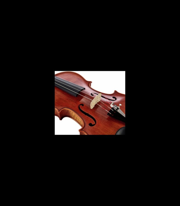 Vioară Stentor SR1865 Violin Messina 4/4 - Stentor [8]
