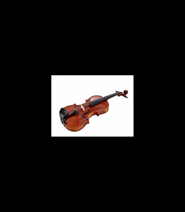 Vioară Stentor SR1865 Violin Messina 4/4 - Stentor [3]