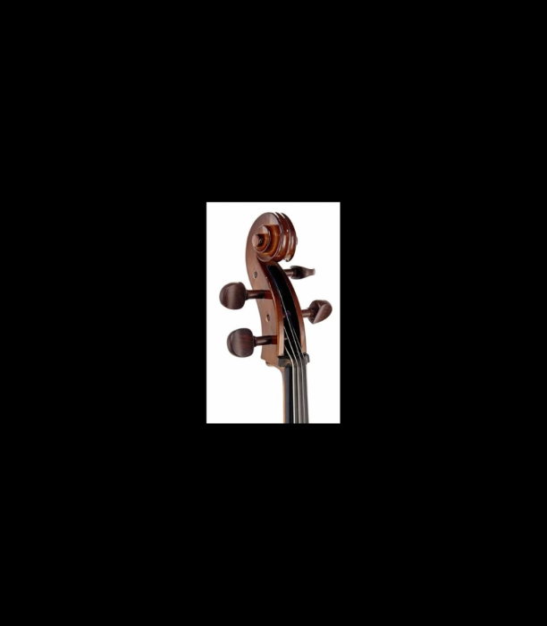 Violoncel Stentor SR1102 Cello Student I 3/4 - Stentor [4]