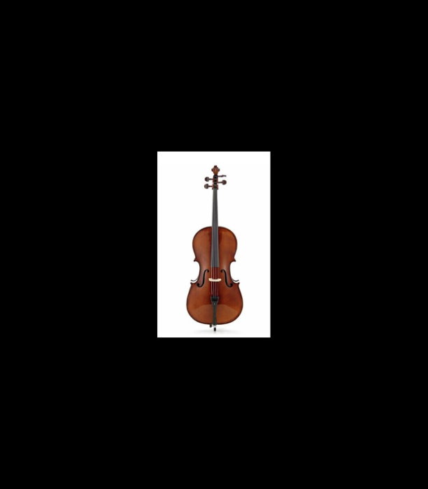 Violoncel Stentor SR1102 Cello Student I 3/4 - Stentor [2]
