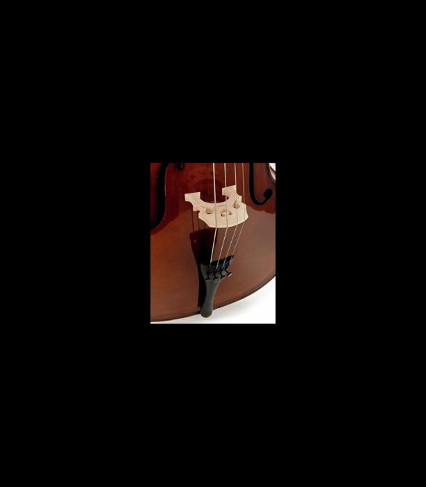 Violoncel Stentor SR1102 Cello Student I 3/4 - Stentor [8]