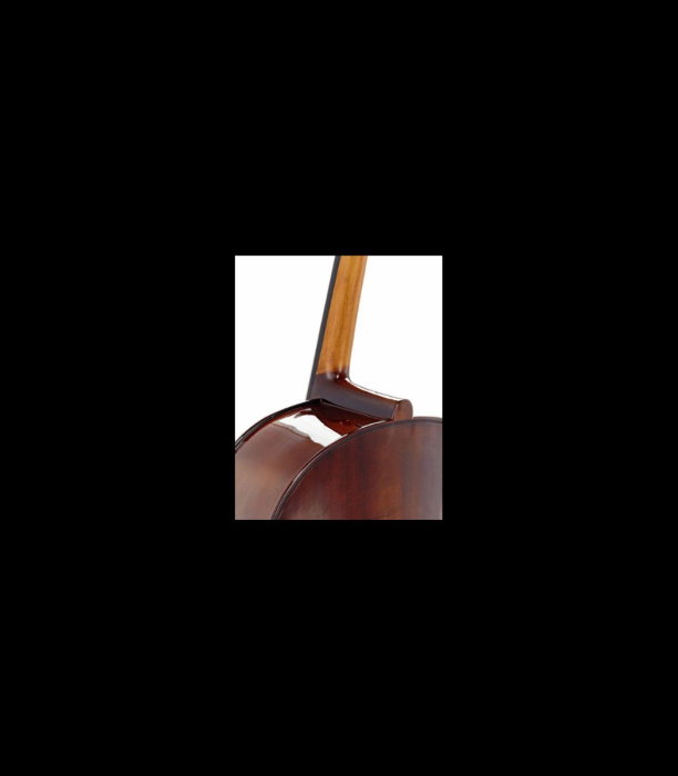 Violoncel Stentor SR1102 Cello Student I 3/4 - Stentor [6]