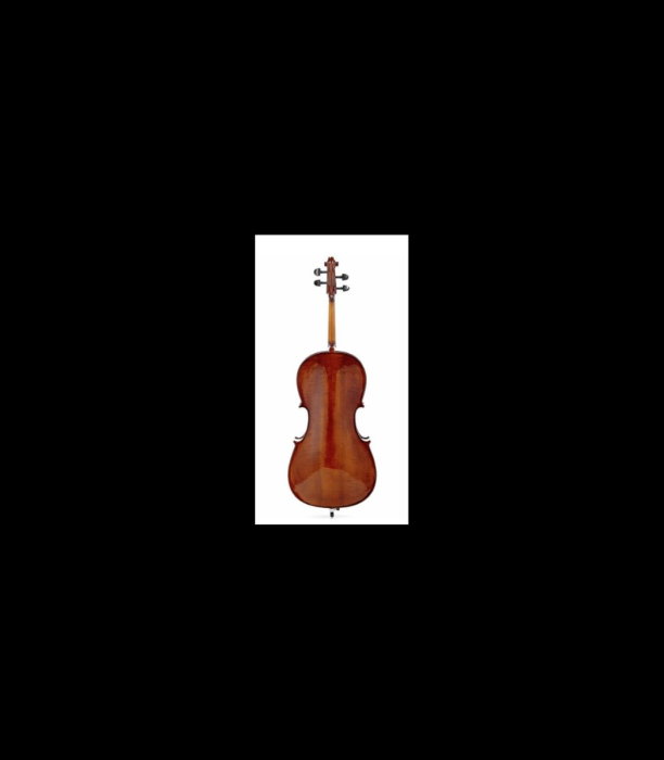 Violoncel Stentor SR1108 Cello Student II 3/4 - Stentor [3]
