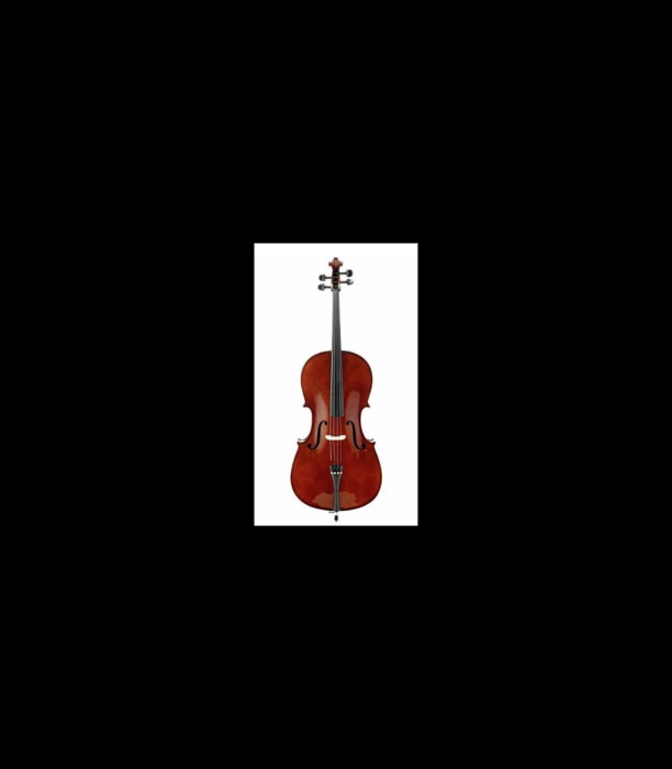 Violoncel Stentor SR1108 Cello Student II 3/4 - Stentor [2]