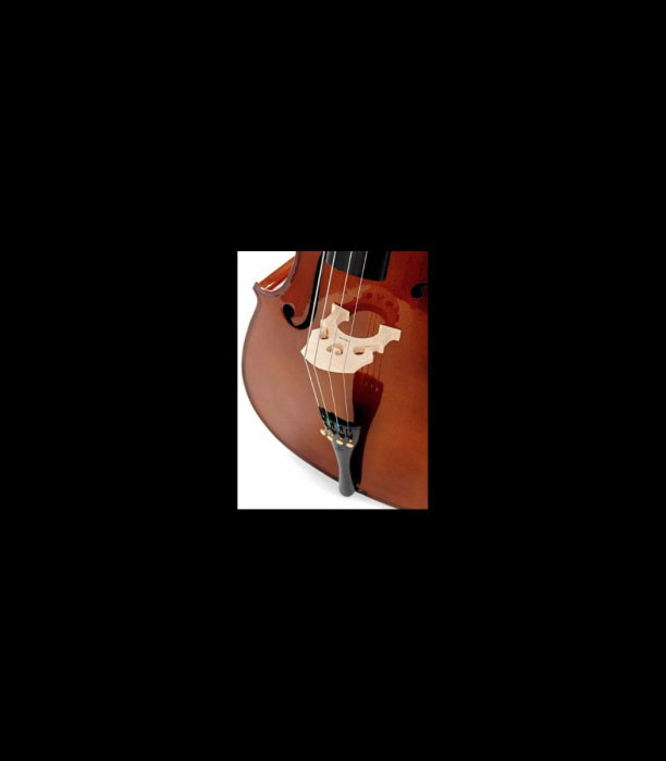 Violoncel Stentor SR1108 Cello Student II 3/4 - Stentor [8]