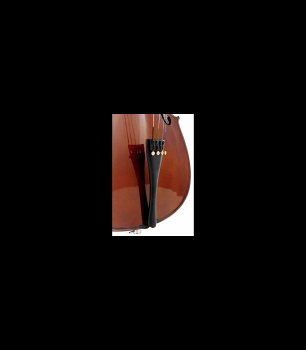 Violoncel Stentor SR1108 Cello Student II 3/4 - Stentor [9]