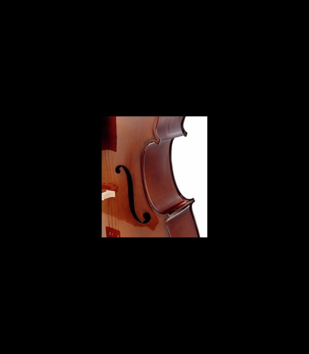 Violoncel Stentor SR1108 Cello Student II 3/4 - Stentor [7]
