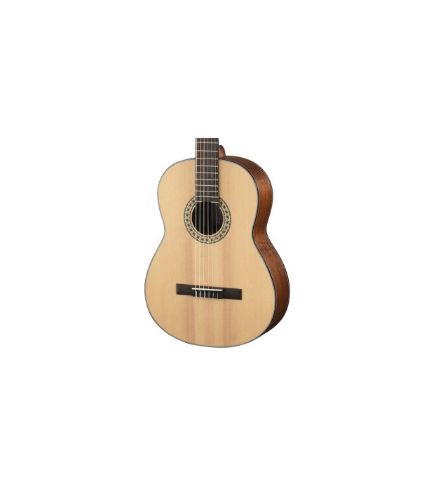 Walden WAN450 W Classical Guitar [2]