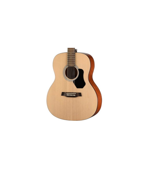 Walden WAO 350 W Acoustic Guitar [2]