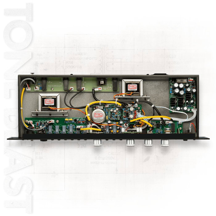 Warm Audio TB12 Tone Beast Black [3]