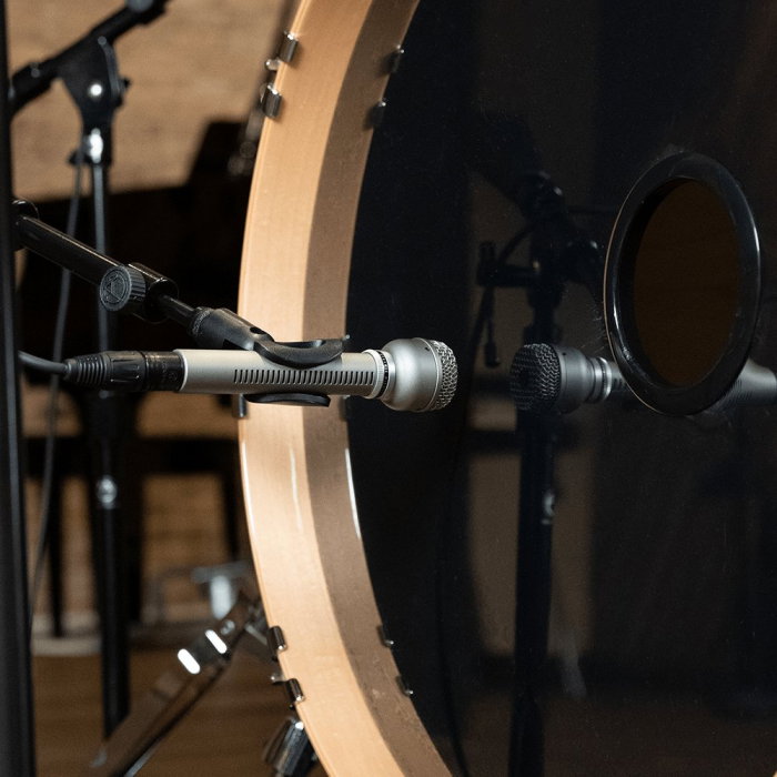 Microfon dinamic Warm Audio WA-19 Nickel de studio [4]