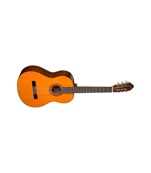 Washburn C5-WSH-A-U B-Stock [2]