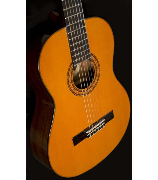 Washburn C5-WSH-A-U B-Stock [5]