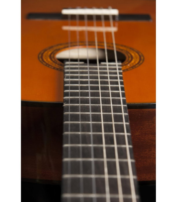 Washburn C5-WSH-A-U B-Stock [6]