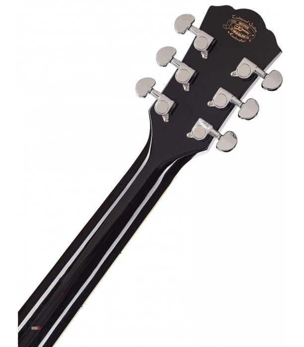 Washburn EA12 B-A-U [5]