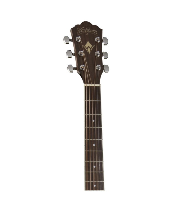 Washburn Heritage D10S [5]