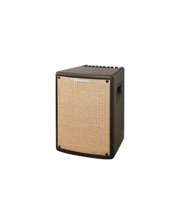 Chitare si bass - Amplificator chitară acustică Ibanez T80II-U Troubadour - Ibanez