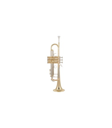 Instrumente Muzicale - B&S 3137-L Challenger I L