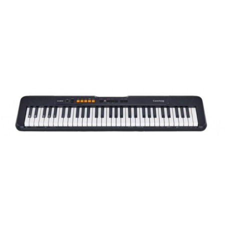 Casio CT-S100 [1]