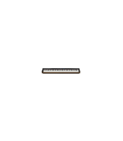 Piane Digitale - Casio PX-S6000