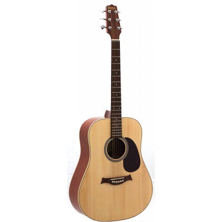 Magazin - Chitară acustică Segada SM 50 - Hora Reghin