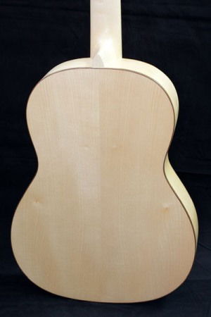 Chitara clasica Eco Silver Paltin 3/4 Hora [3]