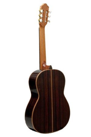 Chitara clasica SM 20 Regun Concert Hora Reghin [1]