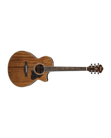 Magazin - Chitară electro-acustică Ibanez AE245-NT - Ibanez
