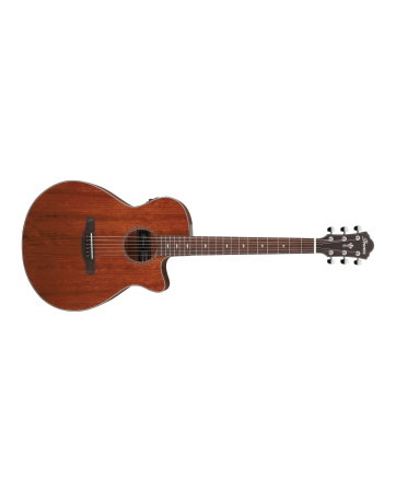 Chitare si bass - Chitară electro-acustică Ibanez AEG220-LGS - Ibanez