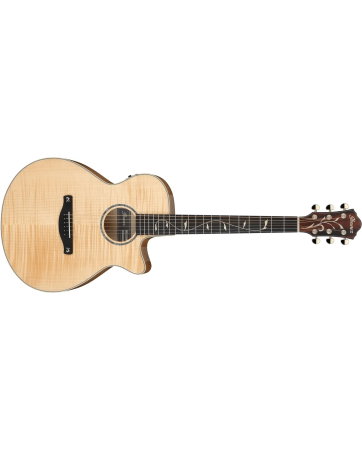 Chitare si bass - Chitară electro-acustică Ibanez AEG750-NT - Ibanez