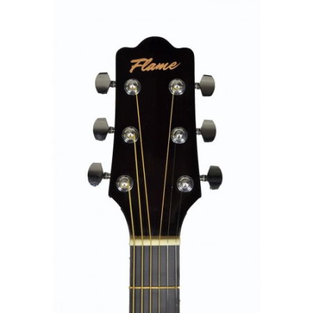 Chitara Flame DG 100 CT NA [2]