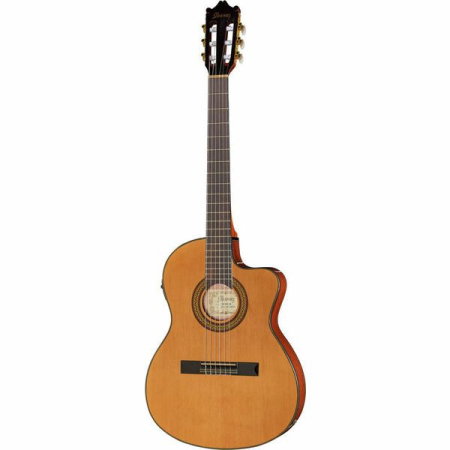 Chitare si bass - Chitara Ibanez GA5TCE-AM