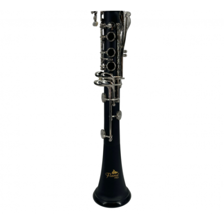 Clarinet Flame Pro JYCL 301M Sib [1]