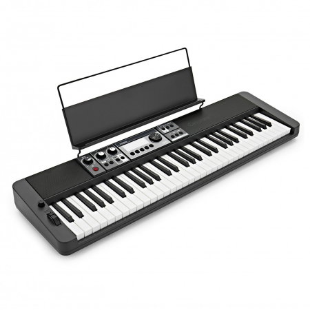 Orga - Clape aranjoare si workstation - Claviatură portabilă Casio CT-S500