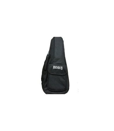 Instrumente Muzicale - F-Zone Regis R-101