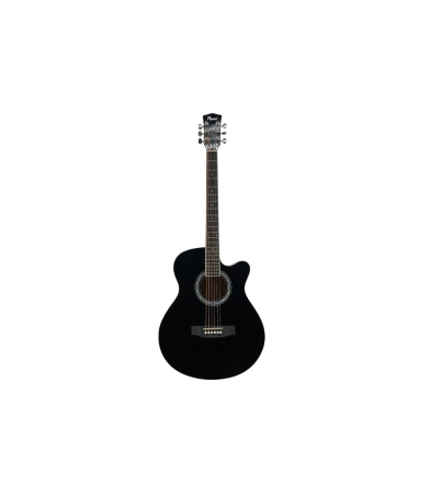 Chitare si bass - Flame C19 BK