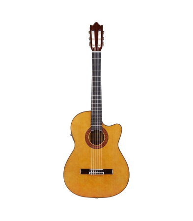 Chitare si bass - Flame CC 20-E B-Stock