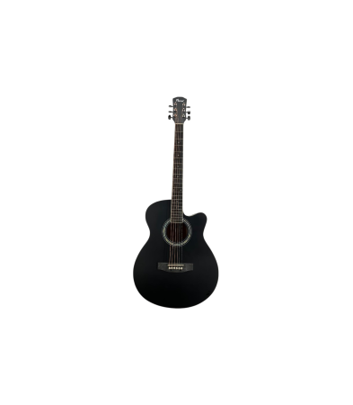 Chitare si bass - Flame EA10 BK