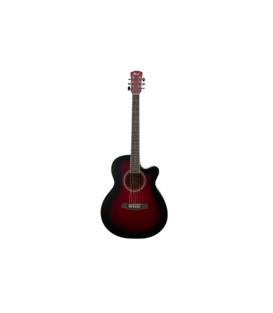 Chitare si bass - Flame EA10 RDS